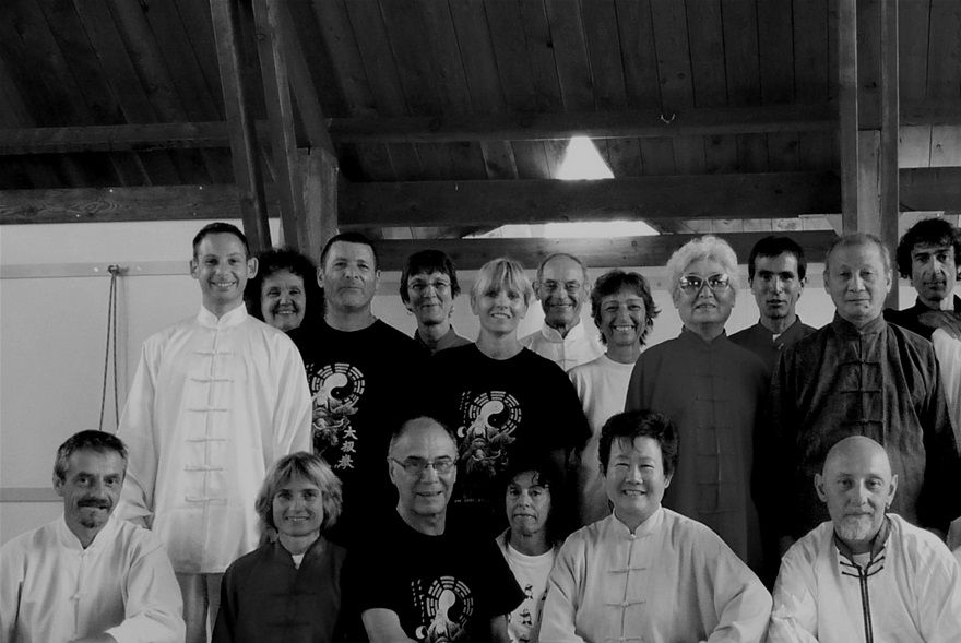 Les disciplines enseignées sont les arts martiaux et énergétiques chinois principalement le TAIJI QUAN (Tai Chi Chuan), Le BAGUA ZHANG (Pakua Chang) et le QI GONG (Chi Kung), toutes ces disciplines découlent de lignées de grands Maîtres.  Elles sont pour nous, passionnés d’art chinois, la pierre angulaire d’une philosophie de vie, accès sur l’harmonie, l’équilibre et le respect de toutes choses vivantes.